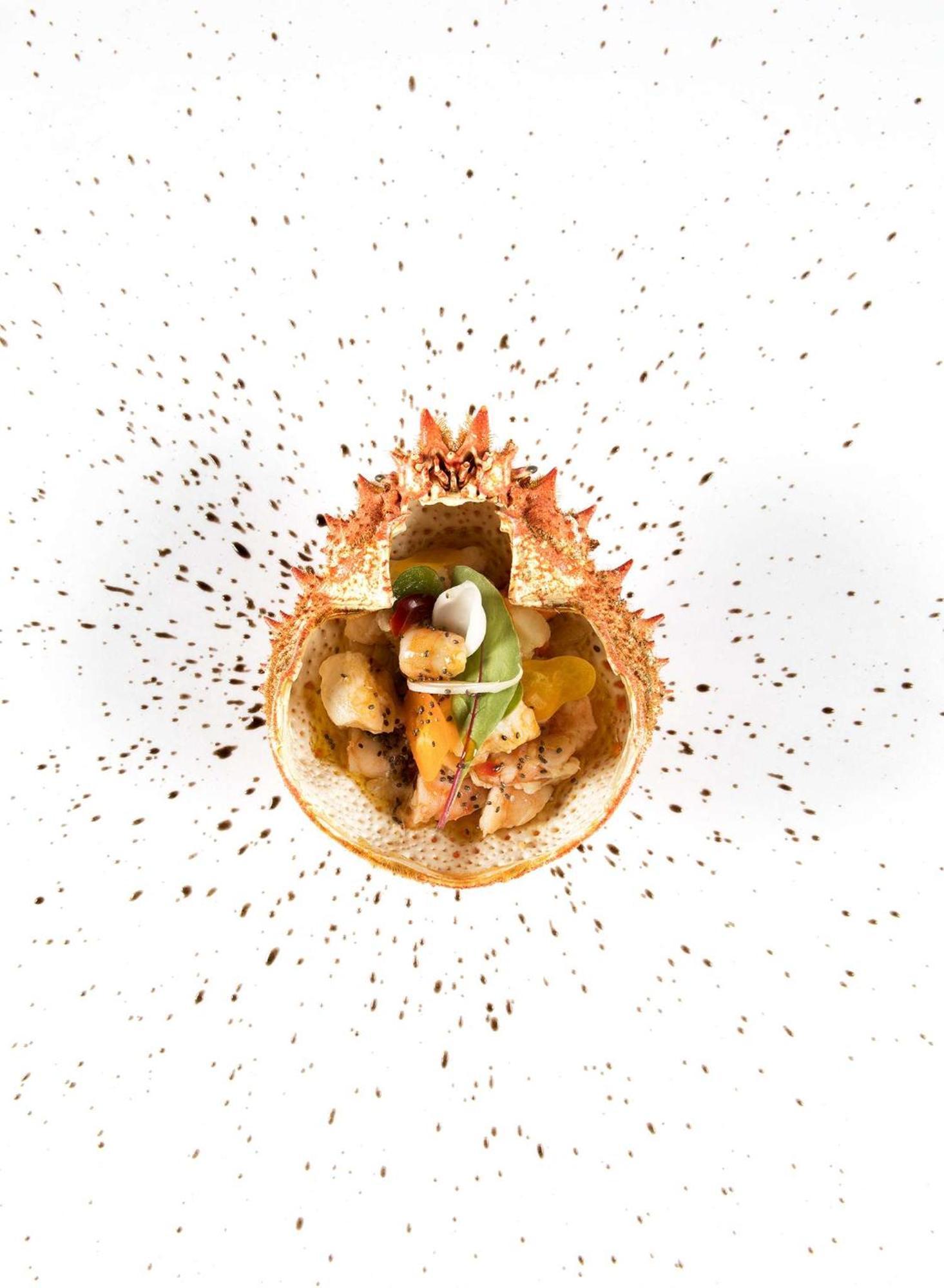 Nh Collection A Coruna Finisterre Extérieur photo A sea urchin salad